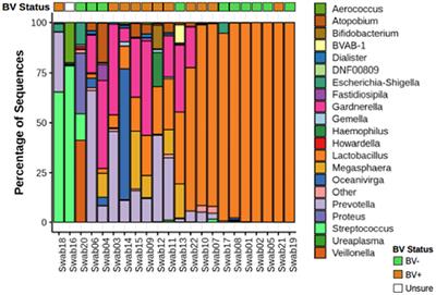 Altered Innate Immunity and Damaged Epithelial Integrity in Vaginal Microbial Dysbiosis